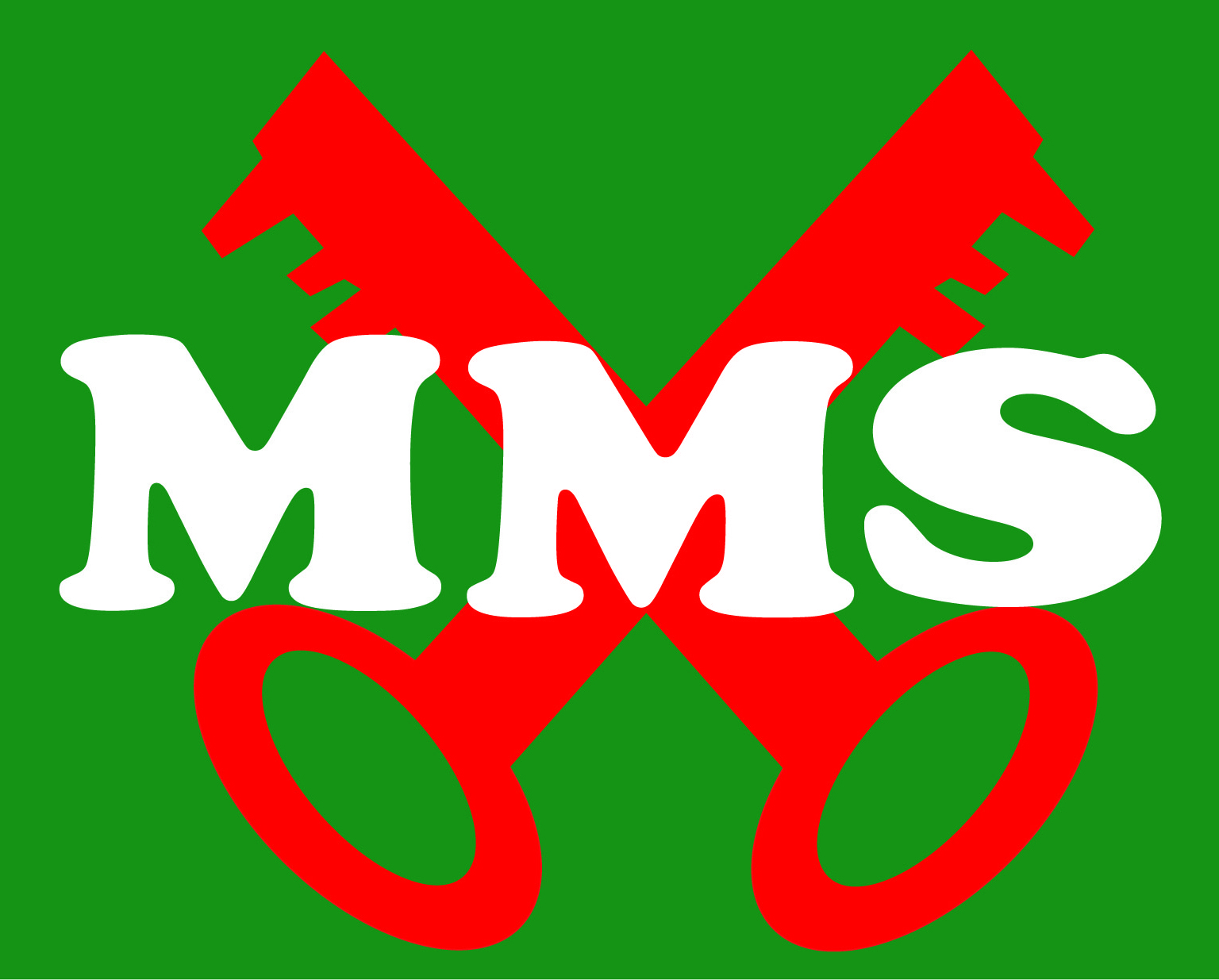 Logo of MMS 2019 (1)