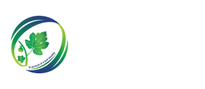 SAWAB Logo